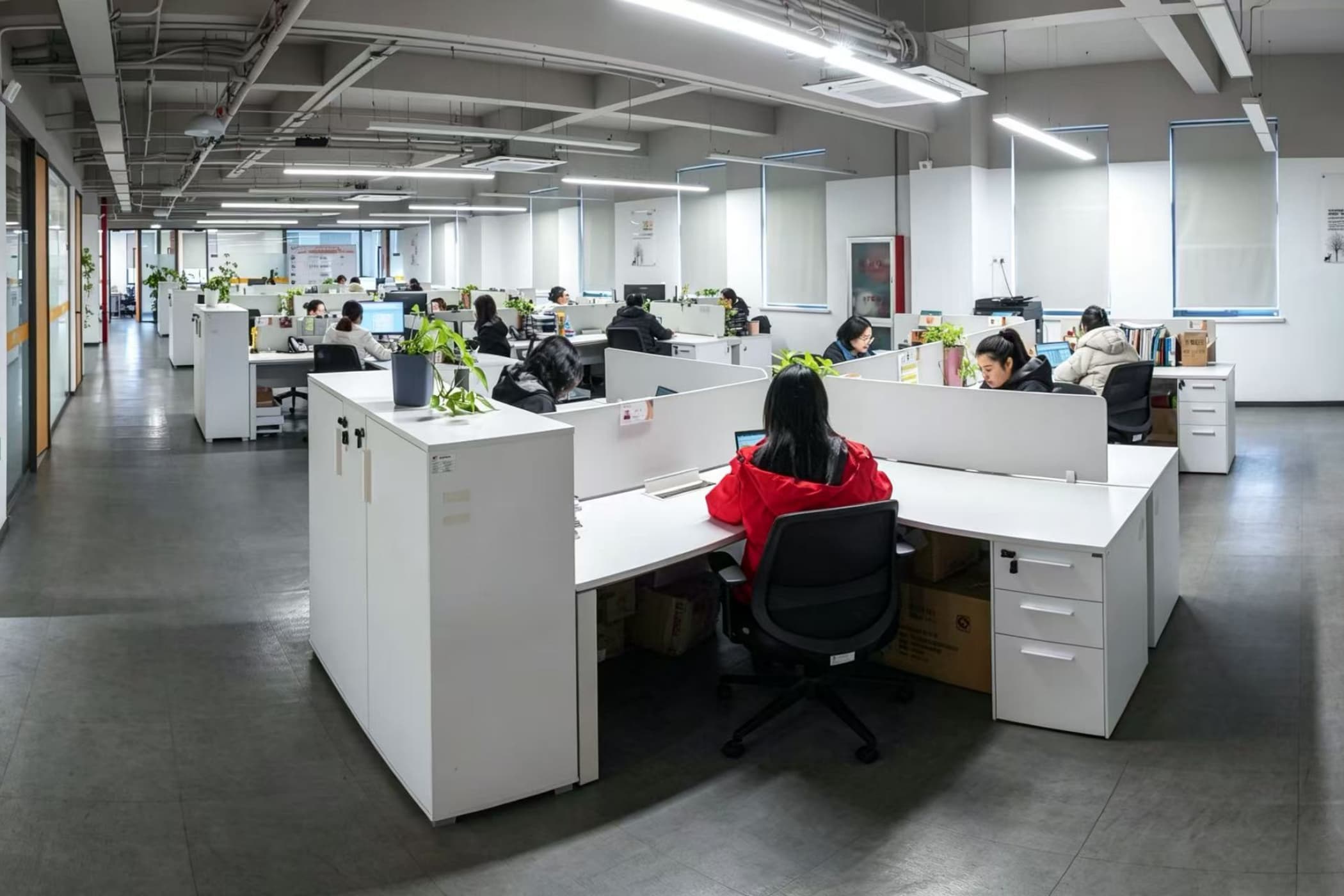 voneseals Office Area